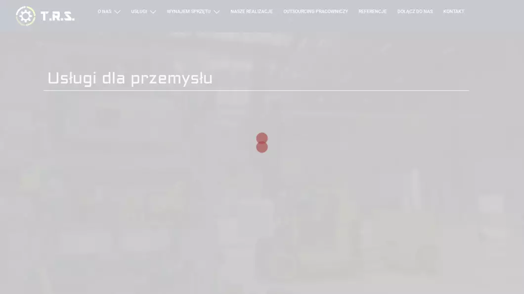 Zrzut ekranu strony